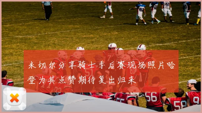 米切尔分享骑士季后赛现场照片哈登为其点赞期待复出归来